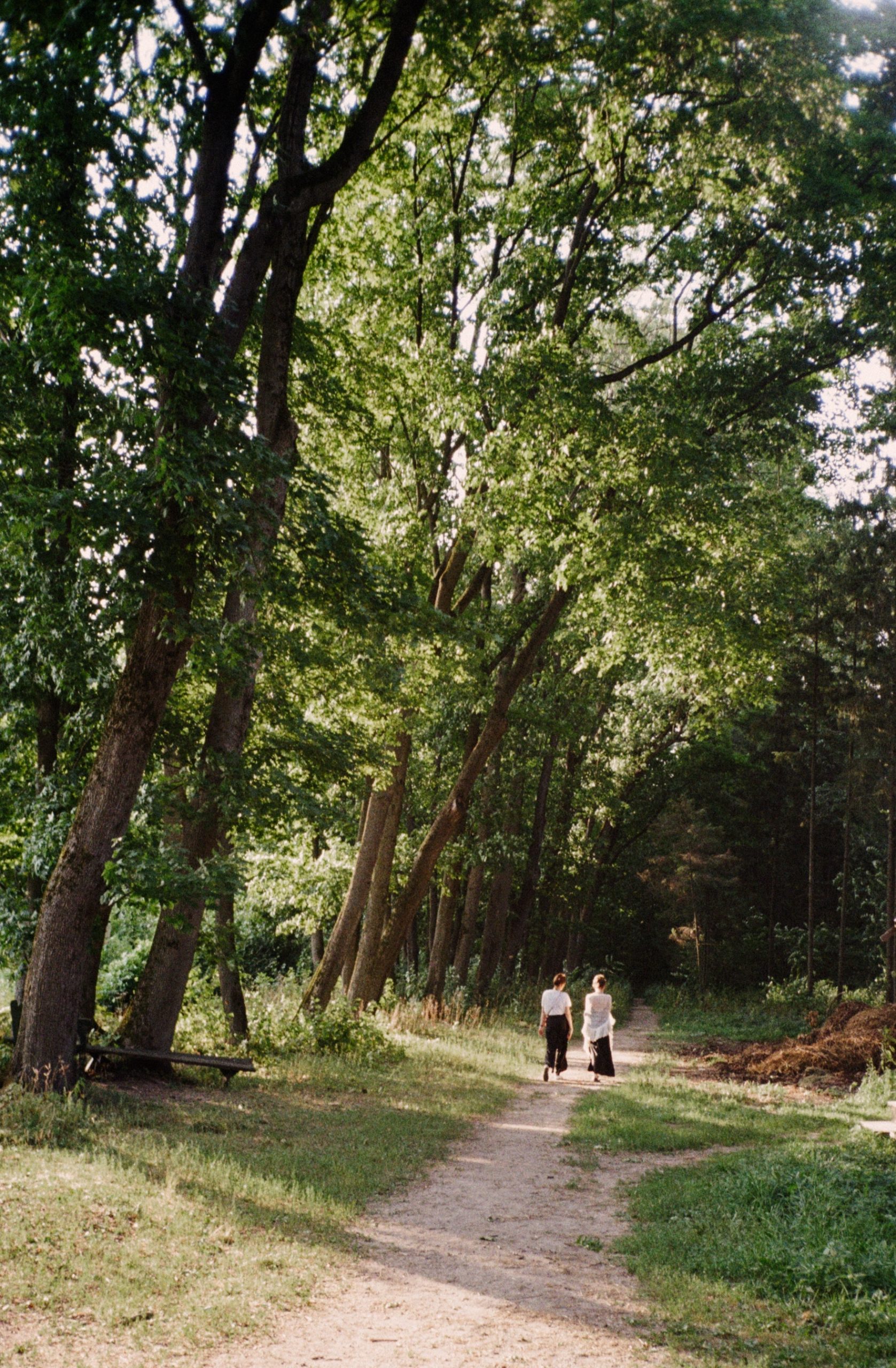 avondwandeling